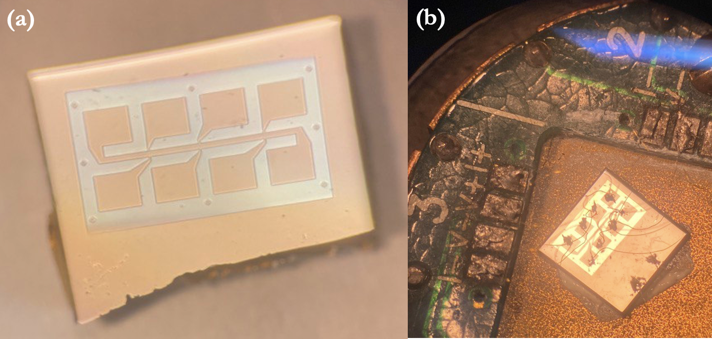 Fabricated Hall-bar device and sample mounted for electrical transport measurements